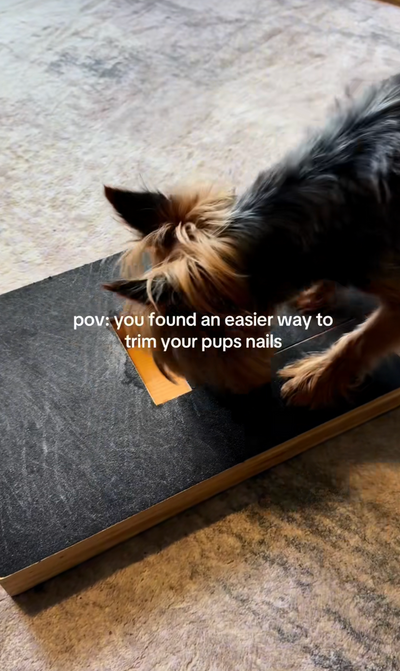 PawFile Reward Box