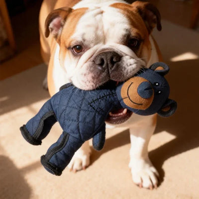 Works for the Dogs Every Other Method Has Already Failed