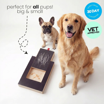 PawFile Reward Box