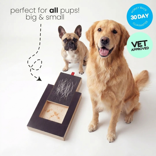 PawFile Reward Box